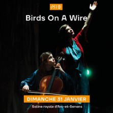 Birds On A Wire