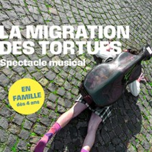 LA MIGRATION DES TORTUES