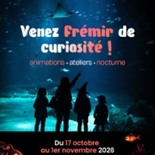 Nausica&aacute; - Centre National de la Mer - Saison 2026 2026