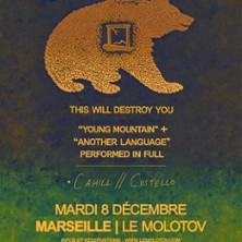 This Will Destroy You + Cahill//Costello