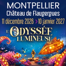 L'Odyss&eacute;e Lumineuse Montpellier - Billet Open