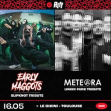 Early Maggots - Concert Tribute