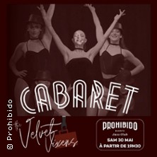 Velvet Vixens