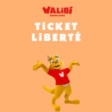 Walibi Rh&ocirc;ne-Alpes - Billet Libert&eacute; 2026