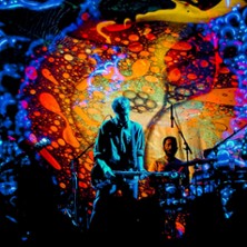 LSD and the Search for God + April's Fish