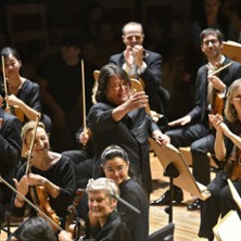 Haydn